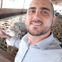 Alisson Chiréa Email