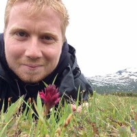 Dennis Nyström Email