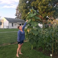 The Lorenz Corporation Employee Jennifer Kinsey's profile photo