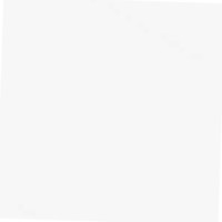Basma Alghamdi Email
