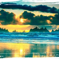 Consulate Health Care Employee Teri Dailey's profile photo