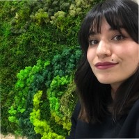 Daisy Jauregui Email