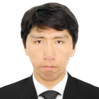 Edwin Vladimir Quispe Mamani's profile photo