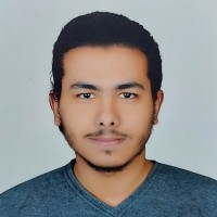 Fathi Zayed Email