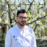 Iman Rezaei Email