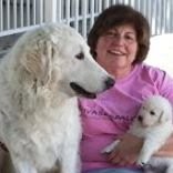 Gail Dash Email & Phone Number