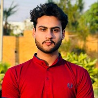 Stars Developer Employee Hassan Amin's profile photo