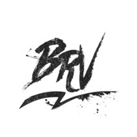 BlueRun Ventures Email