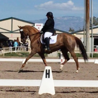 Heather Petersen Email & Phone Number