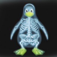 LinuxLinks.com Employee Steve Emms's profile photo