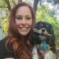 Amber Sawyer Email & Phone Number