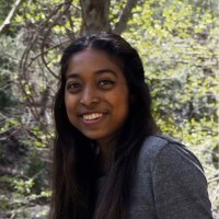 Danielle Guerra Email
