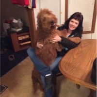 Diane Finch Email & Phone Number