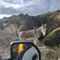 Allard Engineering Employee Mike Cody's profile photo