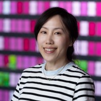 PingCAP Employee Ardelle Fan's profile photo