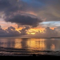 Dalton Wade Real Estate Group Employee Rick Simon's profile photo