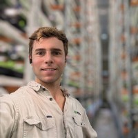 Phyllome Employee Diego Fernandez Gurruchaga's profile photo