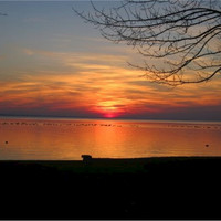 Divine Brothers Co. Employee Mike Plescia's profile photo