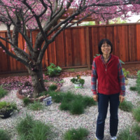 Agnes Lo Email & Phone Number