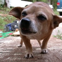 Cutting Edge Home Builders, Inc. Employee Tom Madden's profile photo