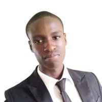 HyperBird Technologies Employee Paschal Nnamani's profile photo