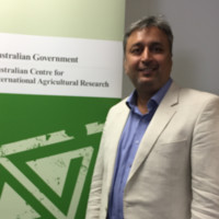 Country Office (Pakistan) Australian Centre for International Agricultural Resea Employee Munawar Kazmi's profile photo