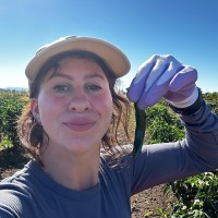 Danbury Public Schools CT Employee Ryllie Husted's profile photo