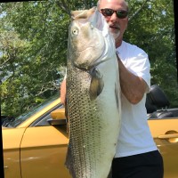 John Raiola Email & Phone Number