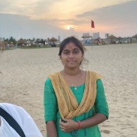 Codem Inc. Employee Raja S's profile photo