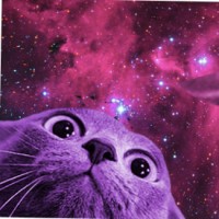 The Software House Employee Lidia Łoniewska's profile photo