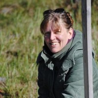 HSS Media Ab Employee Vivian Johansson's profile photo