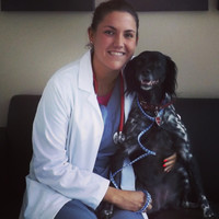Emergency Animal Hospital of Collin County Employee Cindy Echevarria's profile photo