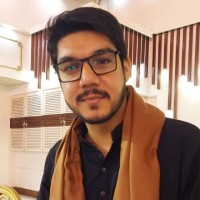 Solution Provider Employee Syed Ali's profile photo