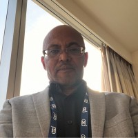 Ali Gamil Email