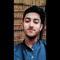 Interface Technology Pvt Ltd Employee Syed Amir's profile photo