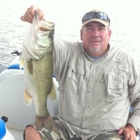 Dee Nall Email & Phone Number