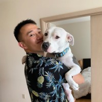 Vimcal Employee Michael Zhao's profile photo