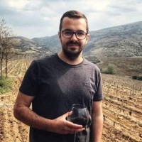 mediamid digital services GmbH Employee Danijal Daca's profile photo