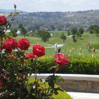 Arrowood Golf Course Employee Jim Stull's profile photo