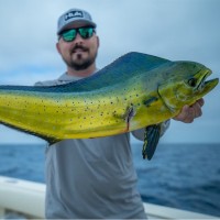 Jones & Company Employee John Waters's profile photo