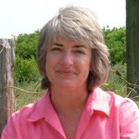 SAGA Construction & Development Employee Julie Short's profile photo