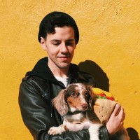 Chris Towler Email & Phone Number