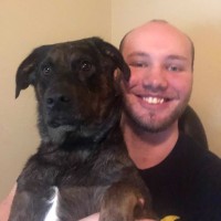 Rob Lively's profile photo