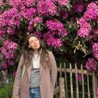 Andreea Mircea Email