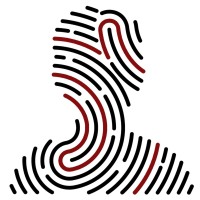 Simen Sommerfeldt Email & Phone Number