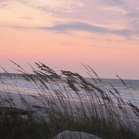 Carol Throckmorton
