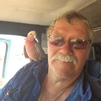 Australia Employee Ian Hocking's profile photo