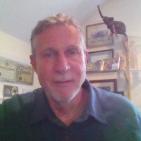 STE Employee Mark Perkins's profile photo