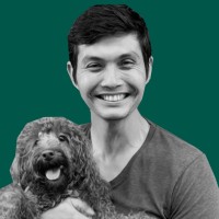 Lyka Pet Food Employee Gabriel Guedes's profile photo