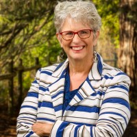 Harcourts West Real Estate Employee Holly Guardino's profile photo
